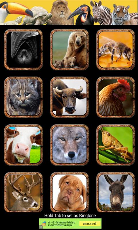 Download 30 animal sounds and ringtones android on PC